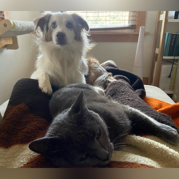 Meet your Posher, Claire - Picture 2 of 5